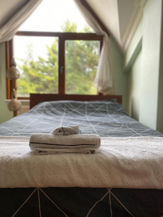 Otantik Havalimanina Yakin Villa Arnavutkoy Zewnętrze zdjęcie